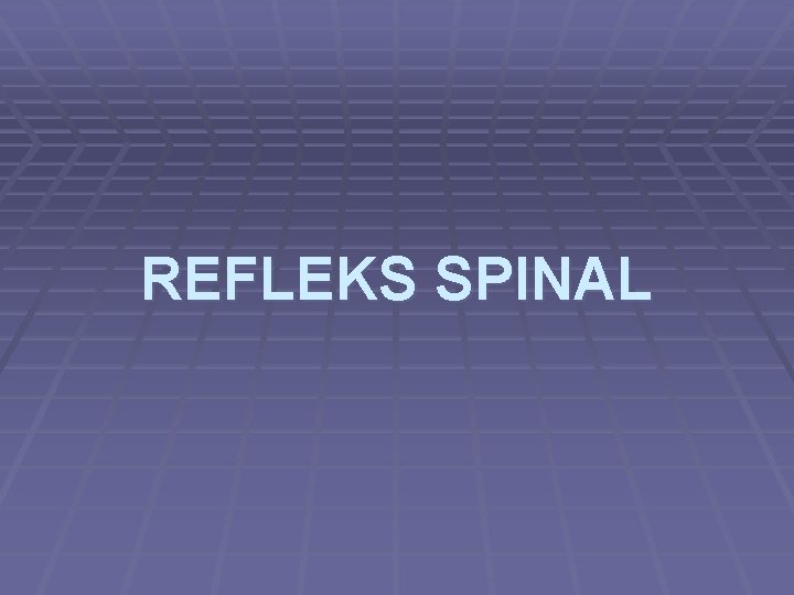 REFLEKS SPINAL 