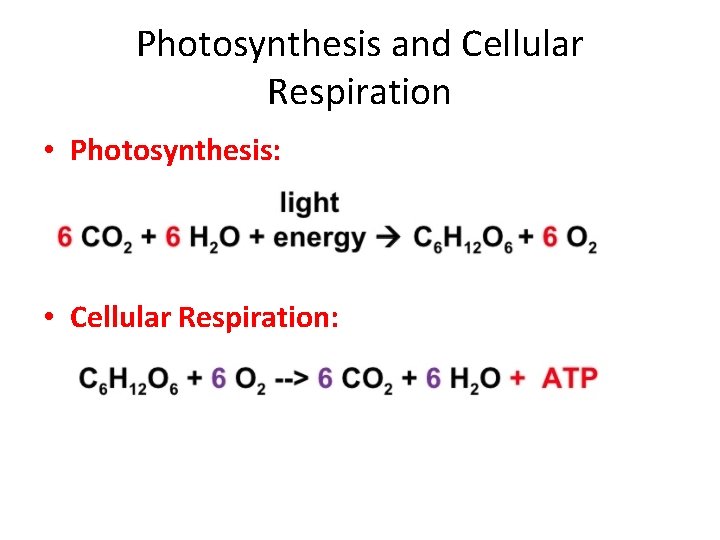 Photosynthesis and Cellular Respiration • Photosynthesis: • Cellular Respiration: 