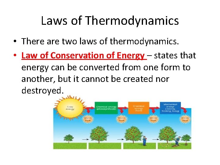 Laws of Thermodynamics • There are two laws of thermodynamics. • Law of Conservation