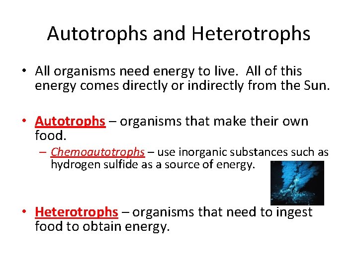 Autotrophs and Heterotrophs • All organisms need energy to live. All of this energy