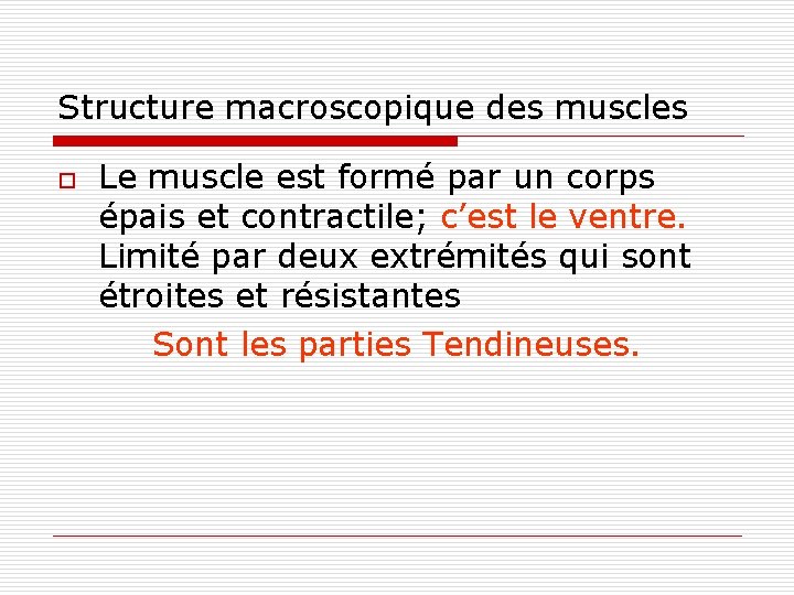 Structure macroscopique des muscles o Le muscle est formé par un corps épais et