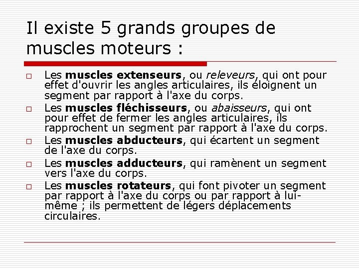 Il existe 5 grands groupes de muscles moteurs : o o o Les muscles