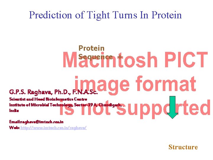 Prediction of Tight Turns In Protein Sequence + G. P. S. Raghava, Ph. D.