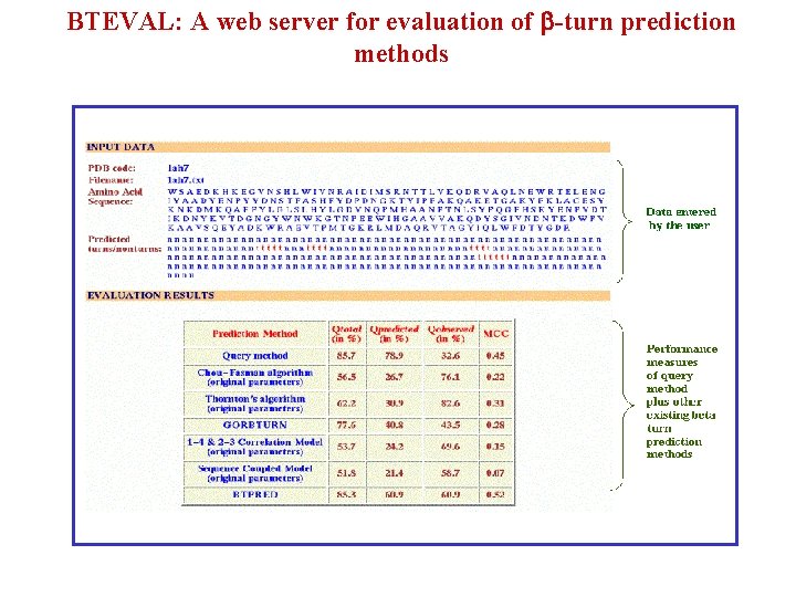 BTEVAL: A web server for evaluation of -turn prediction methods 