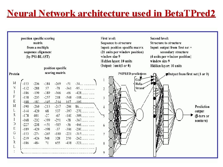 Neural Network architecture used in Beta. TPred 2 