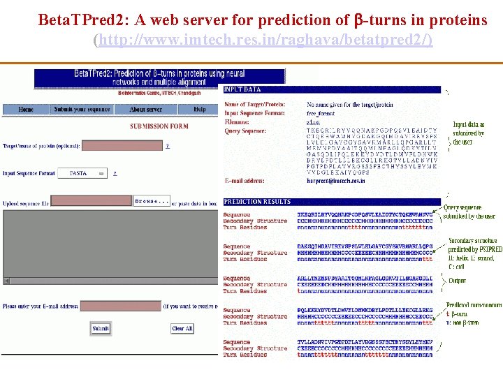 Beta. TPred 2: A web server for prediction of -turns in proteins (http: //www.