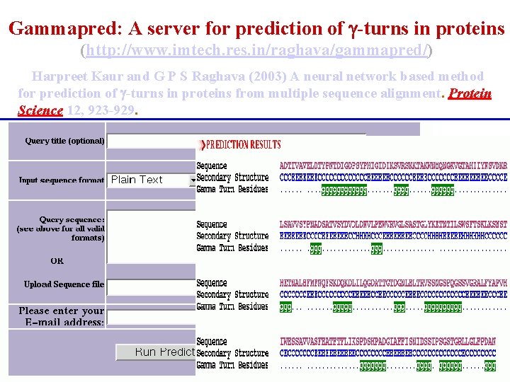 Gammapred: A server for prediction of -turns in proteins (http: //www. imtech. res. in/raghava/gammapred/)
