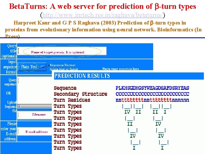 Beta. Turns: A web server for prediction of -turn types (http: //www. imtech. res.