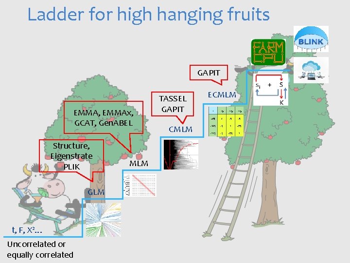 Ladder for high hanging fruits GAPIT EMMA, EMMAx, GCAT, Gen. ABEL Structure, Eigenstrate PLIK