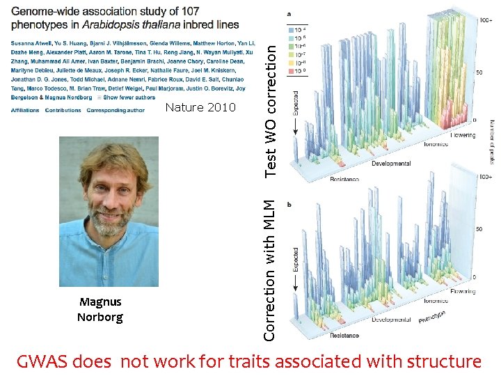 Magnus Norborg Test WO correction Correction with MLM Nature 2010 GWAS does not work