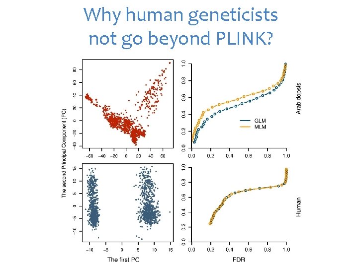 Why human geneticists not go beyond PLINK? 