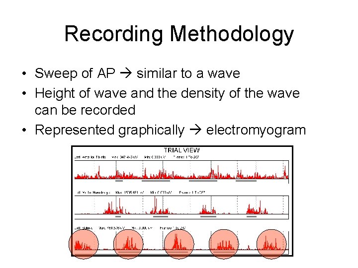 Recording Methodology • Sweep of AP similar to a wave • Height of wave
