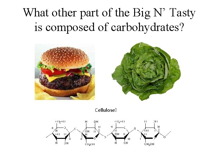 What other part of the Big N’ Tasty is composed of carbohydrates? Cellulose! 