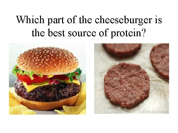 Which part of the cheeseburger is the best source of protein? 