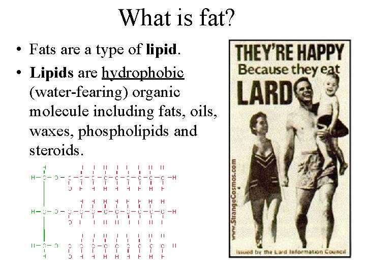 What is fat? • Fats are a type of lipid. • Lipids are hydrophobic