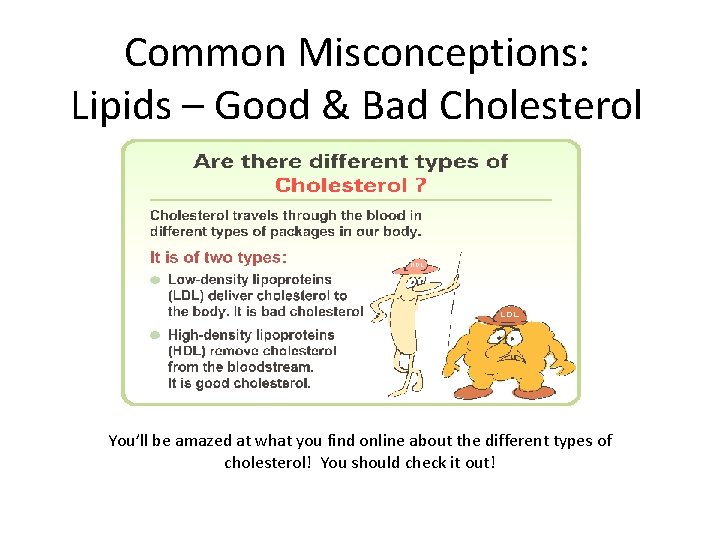 Common Misconceptions: Lipids – Good & Bad Cholesterol You’ll be amazed at what you