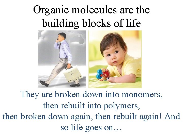 Organic molecules are the building blocks of life They are broken down into monomers,