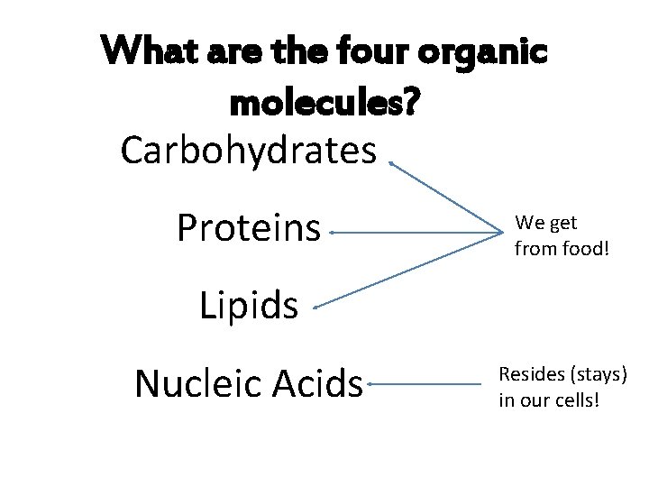 What are the four organic molecules? Carbohydrates Proteins We get from food! Lipids Nucleic