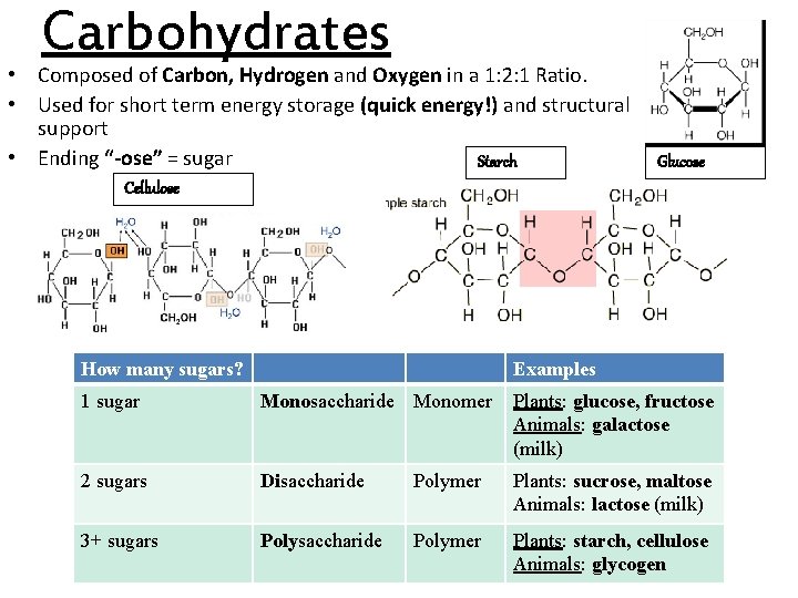 Carbohydrates • Composed of Carbon, Hydrogen and Oxygen in a 1: 2: 1 Ratio.