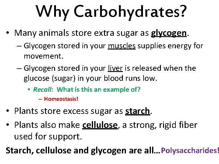 Why Carbohydrates? • Many animals store extra sugar as glycogen. – Glycogen stored in