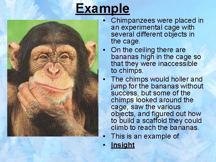 Example • Chimpanzees were placed in an experimental cage with several different objects in