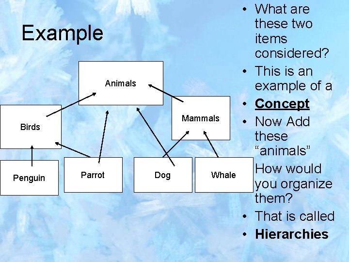 Example Animals Mammals Birds Penguin Parrot Dog Whale • What are these two items