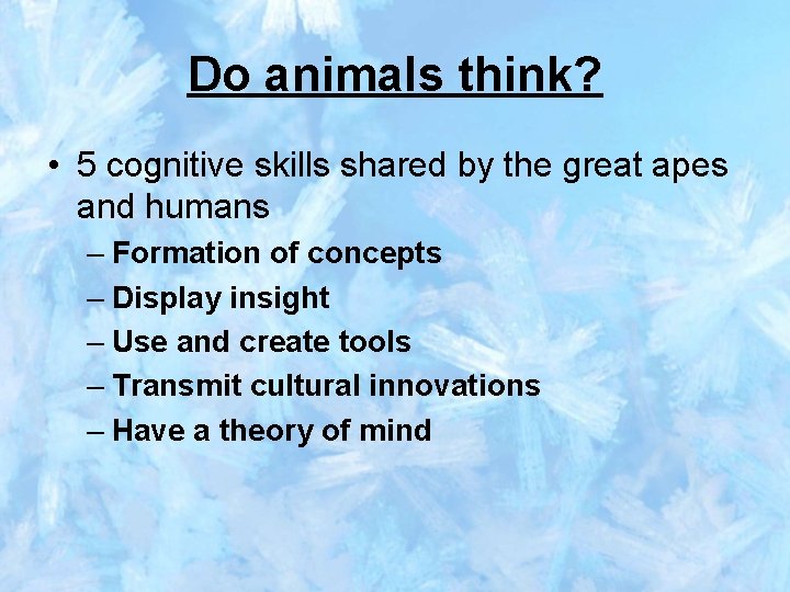 Do animals think? • 5 cognitive skills shared by the great apes and humans