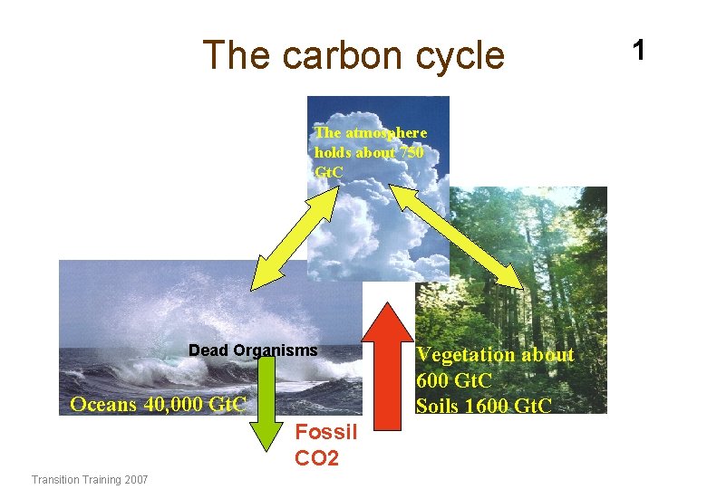 The carbon cycle The atmosphere holds about 750 Gt. C Dead Organisms Oceans 40,