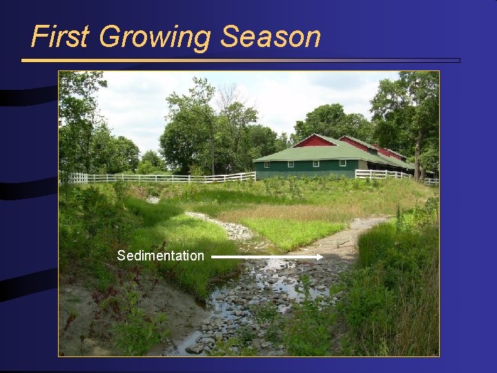 First Growing Season Sedimentation 