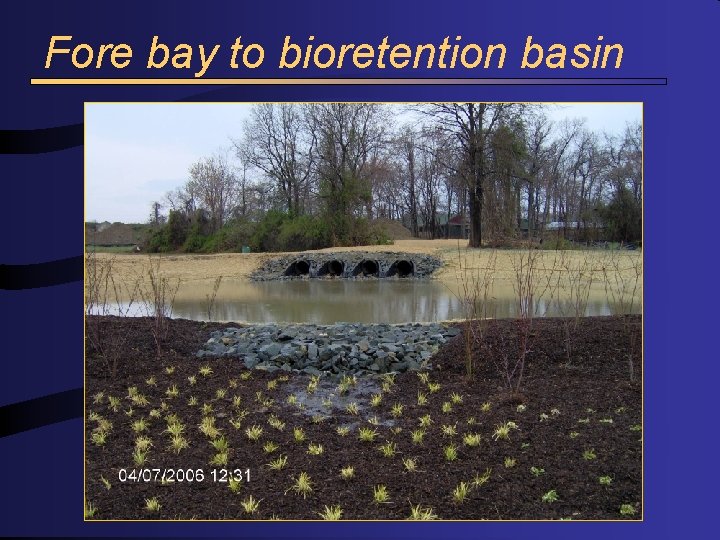 Fore bay to bioretention basin 