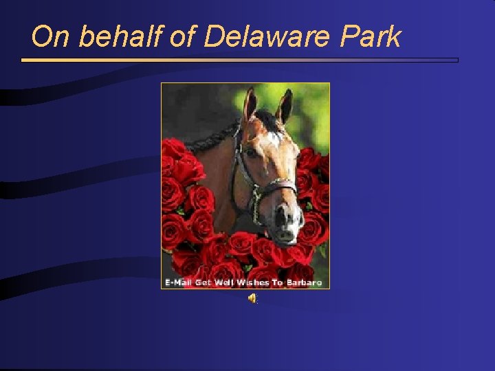 On behalf of Delaware Park 