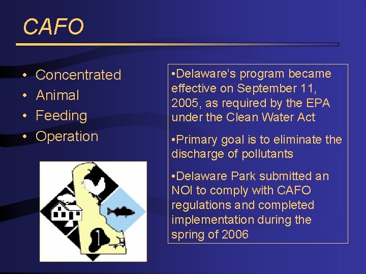 CAFO • • Concentrated Animal Feeding Operation • Delaware’s program became effective on September