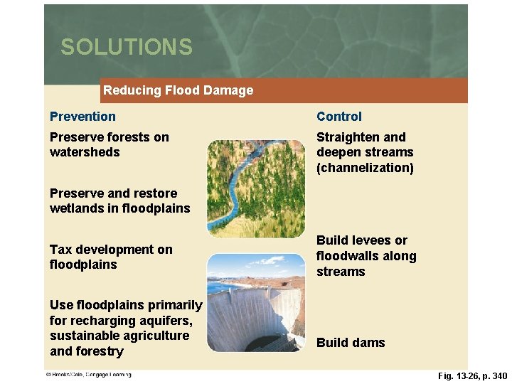 SOLUTIONS Reducing Flood Damage Prevention Control Preserve forests on watersheds Straighten and deepen streams