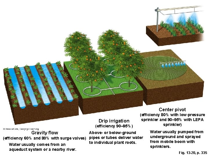 Center pivot Drip irrigation (efficiency 90– 95%) Gravity flow (efficiency 80% with low-pressure sprinkler