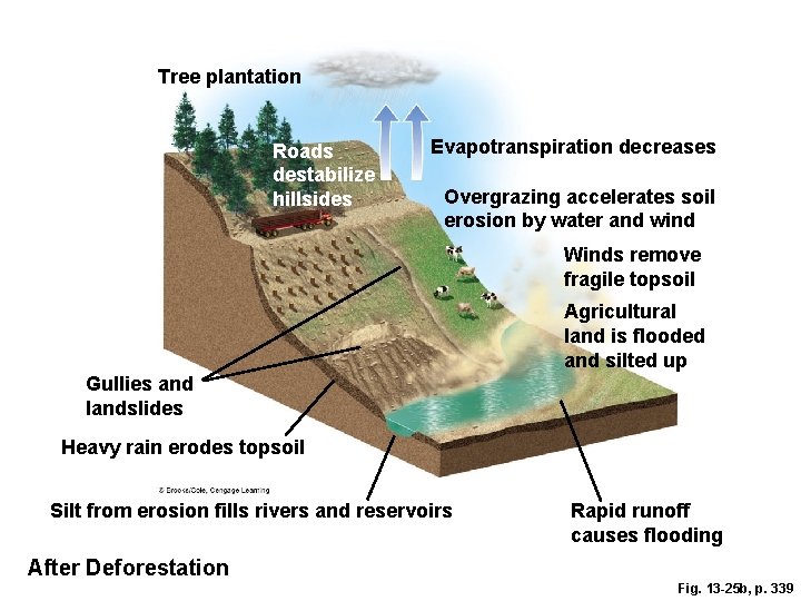 Tree plantation Roads destabilize hillsides Evapotranspiration decreases Overgrazing accelerates soil erosion by water and