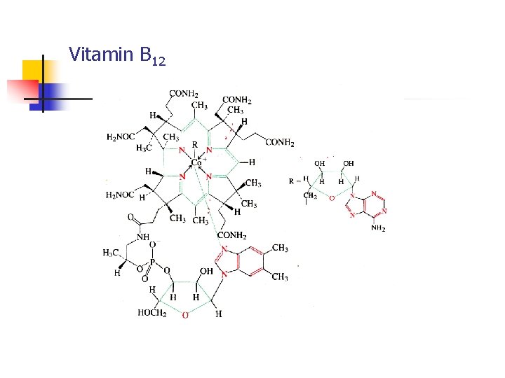 Vitamin B 12 