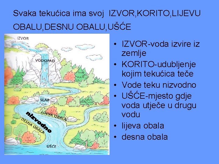 Svaka tekućica ima svoj IZVOR, KORITO, LIJEVU OBALU, DESNU OBALU, UŠĆE • IZVOR-voda izvire