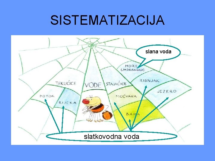 SISTEMATIZACIJA slana voda slatkovodna voda 