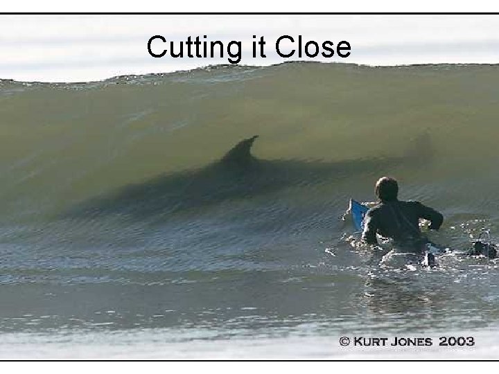 Cutting it Close 
