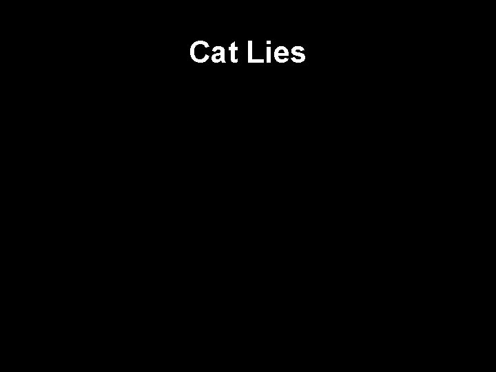 Cat Lies 