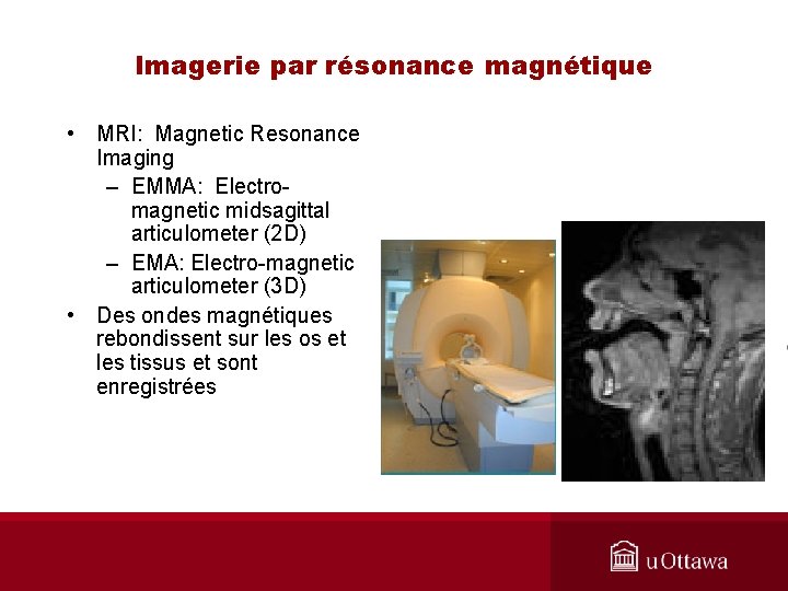 Imagerie par résonance magnétique • MRI: Magnetic Resonance Imaging – EMMA: Electromagnetic midsagittal articulometer