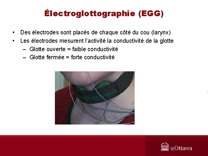 Électroglottographie (EGG) • Des électrodes sont placés de chaque côté du cou (larynx) •