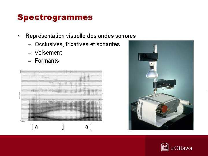 Spectrogrammes • Représentation visuelle des ondes sonores – Occlusives, fricatives et sonantes – Voisement