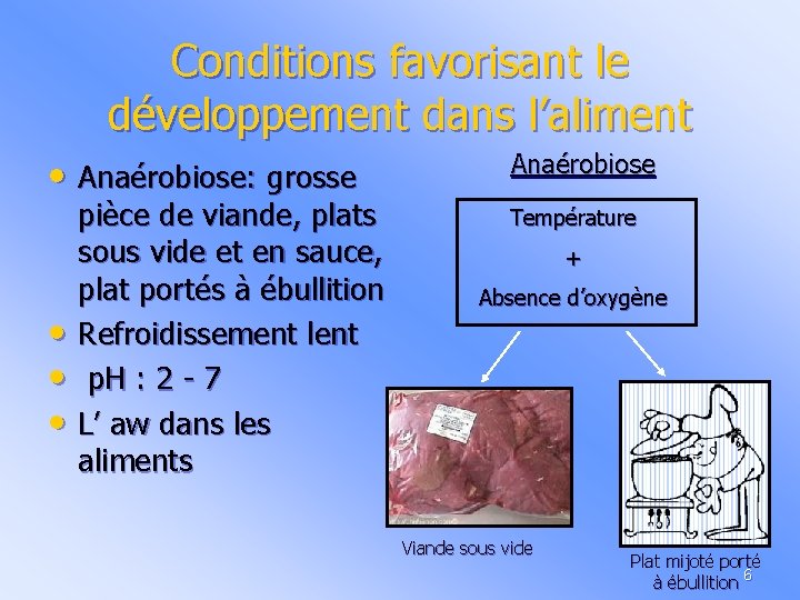 Conditions favorisant le développement dans l’aliment • Anaérobiose: grosse • • • pièce de