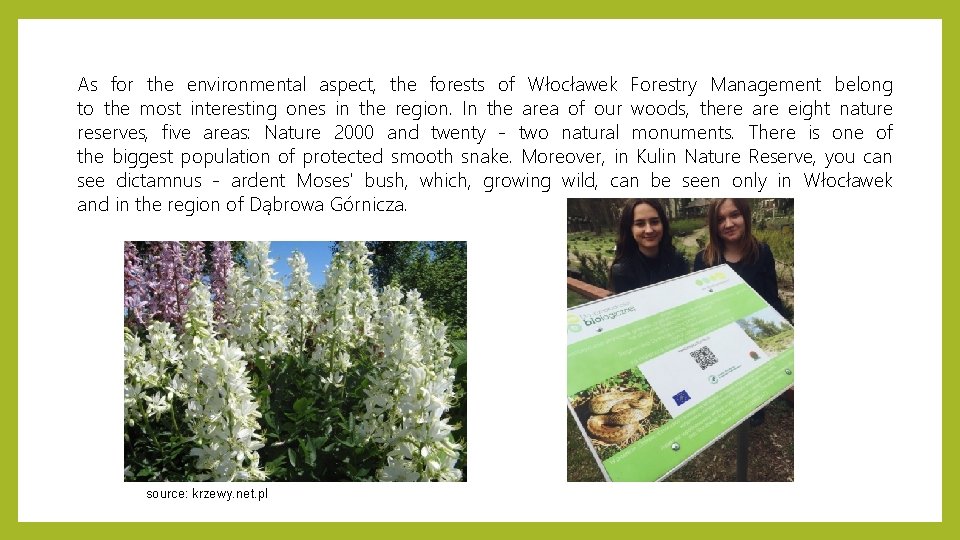 As for the environmental aspect, the forests of Włocławek Forestry Management belong to the As for the environmental aspect, the forests of Włocławek Forestry Management belong to the
