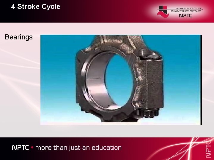 4 Stroke Cycle Bearings 