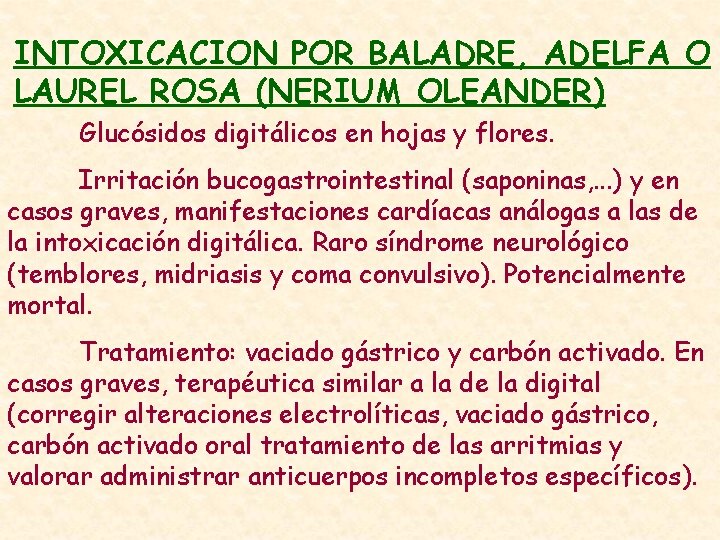 INTOXICACION POR BALADRE, ADELFA O LAUREL ROSA (NERIUM OLEANDER) Glucósidos digitálicos en hojas y