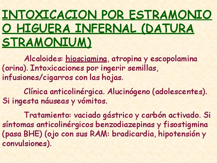 INTOXICACION POR ESTRAMONIO O HIGUERA INFERNAL (DATURA STRAMONIUM) Alcaloides: hiosciamina, atropina y escopolamina (orina).