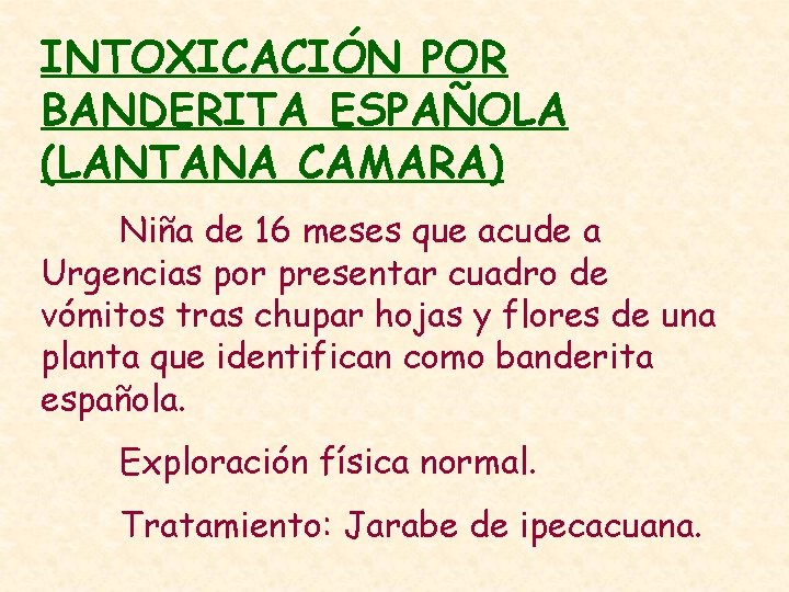 INTOXICACIÓN POR BANDERITA ESPAÑOLA (LANTANA CAMARA) Niña de 16 meses que acude a Urgencias