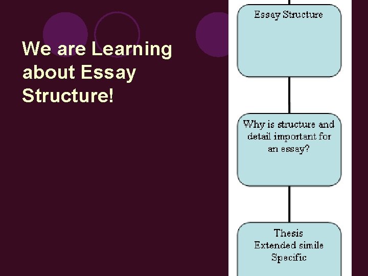 We are Learning about Essay Structure! 